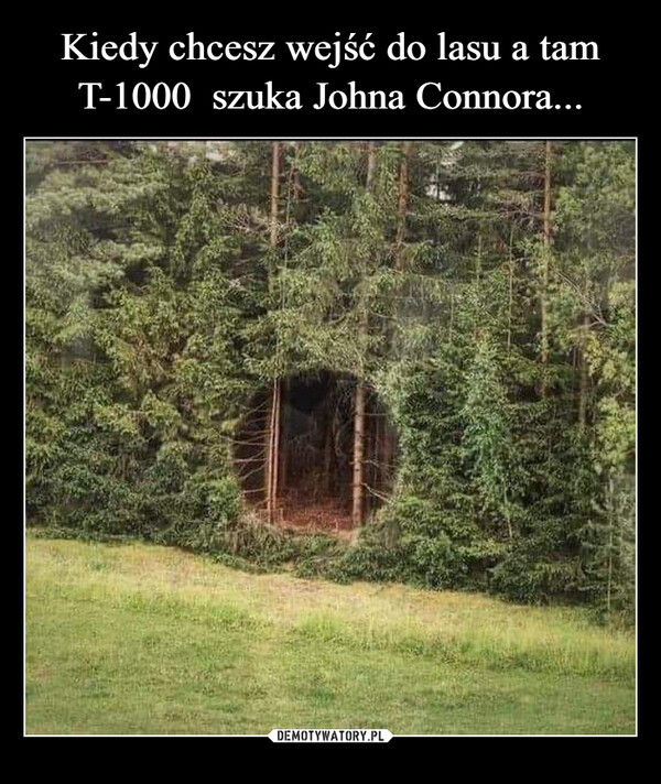 Kiedy chcesz wejść do lasu a tam T-1000  szuka Johna Connora...