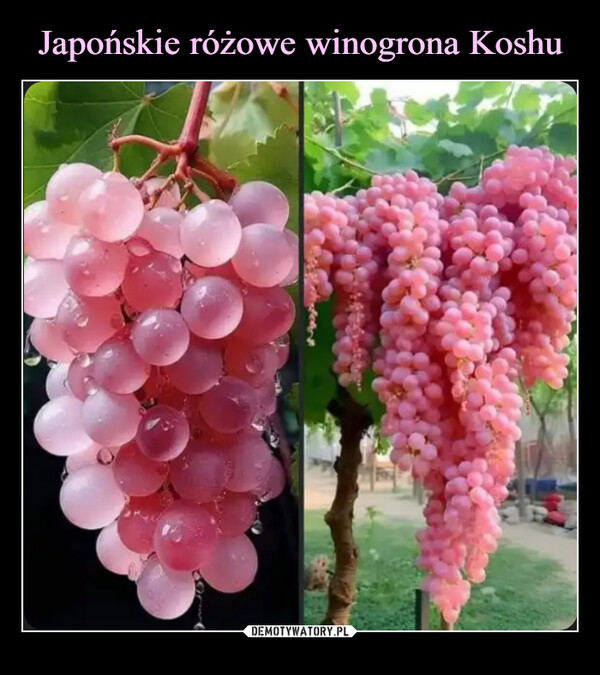  –  