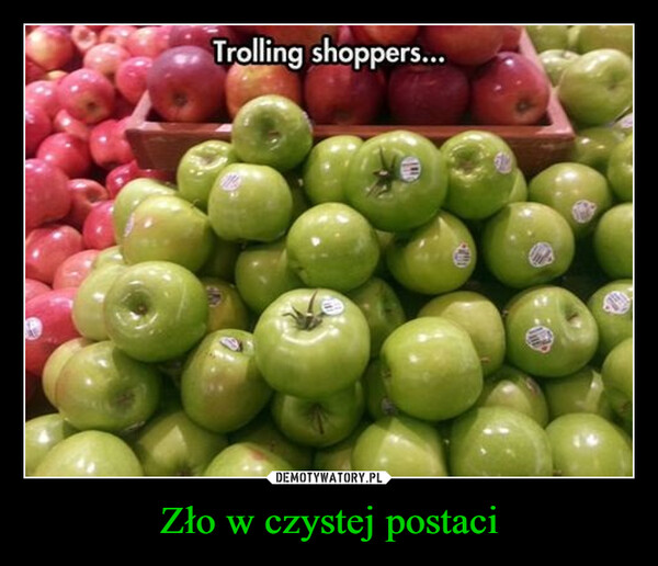 Zło w czystej postaci –  Trolling shoppers...2