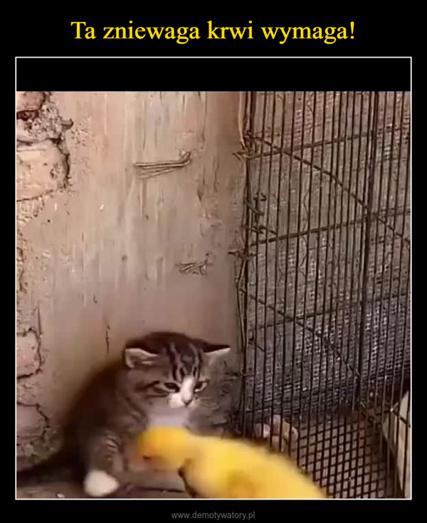  –  
