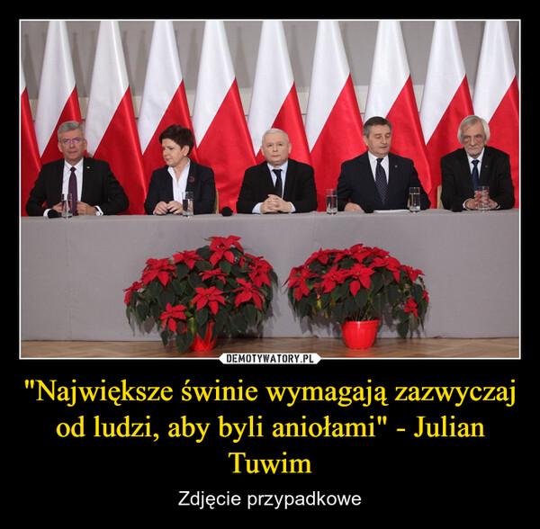 "Największe świnie wymagają zazwyczaj od ludzi, aby byli aniołami" - Julian Tuwim – Zdjęcie przypadkowe 