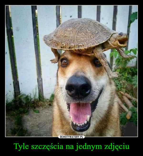 Tyle szczęścia na jednym zdjęciu –  