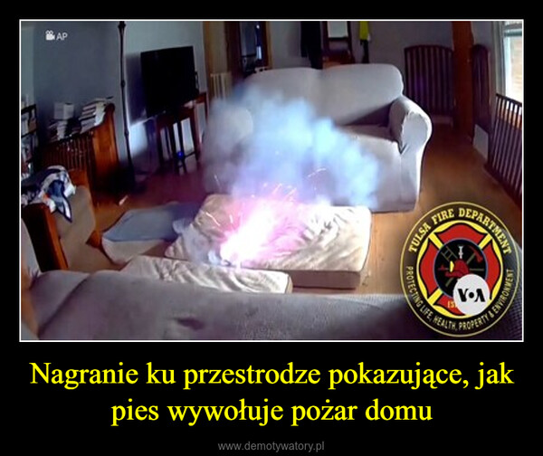 Nagranie ku przestrodze pokazujące, jak pies wywołuje pożar domu –  TULSAPROTECTING LIFE REALIFIREPROPERTYDEPARTMENTENVIRONMENT