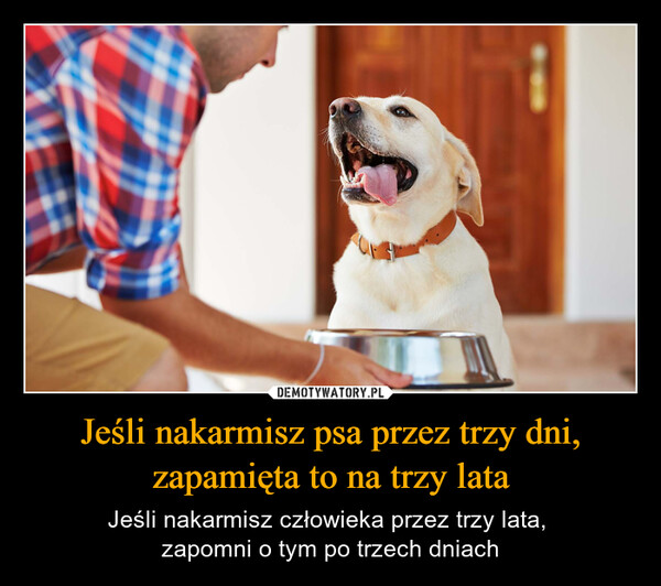 Jeśli nakarmisz psa przez trzy dni,zapamięta to na trzy lata – Jeśli nakarmisz człowieka przez trzy lata, zapomni o tym po trzech dniach 
