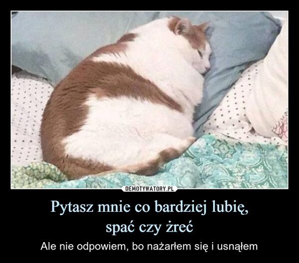 Pytasz mnie co bardziej lubię,spać czy żreć – Ale nie odpowiem, bo nażarłem się i usnąłem 