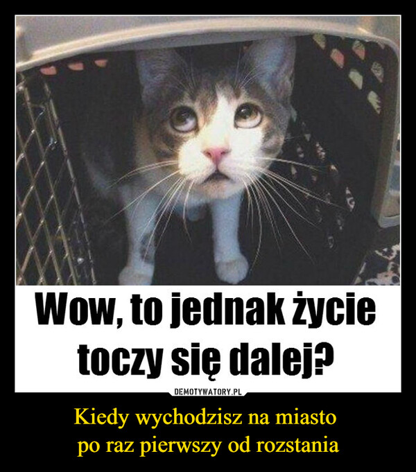 Kiedy wychodzisz na miasto po raz pierwszy od rozstania –  Wow, to jednak życietoczy się dalej?