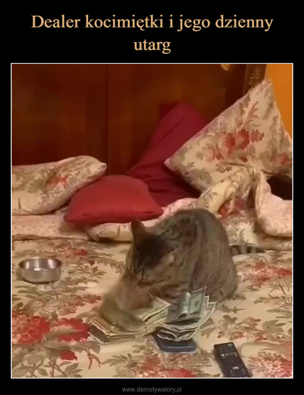  –  